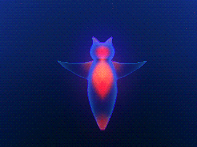 a 3d animation of a sea angel