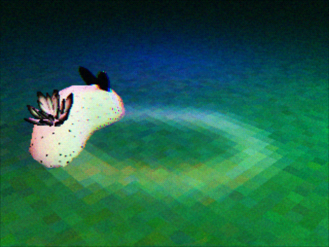 a 3d animation of a sea bunny going around in a circle